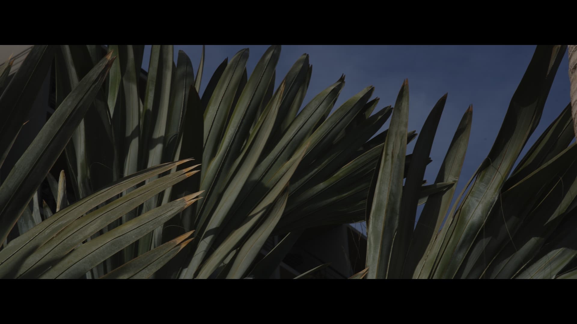 Luke & Taylor wedding at The Cape, a Thompson Hotel, Cabo San Lucas, Mexico — photo 6